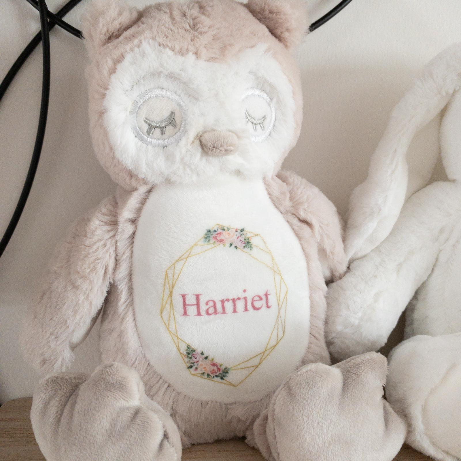 Personalised Owl Soft Toys